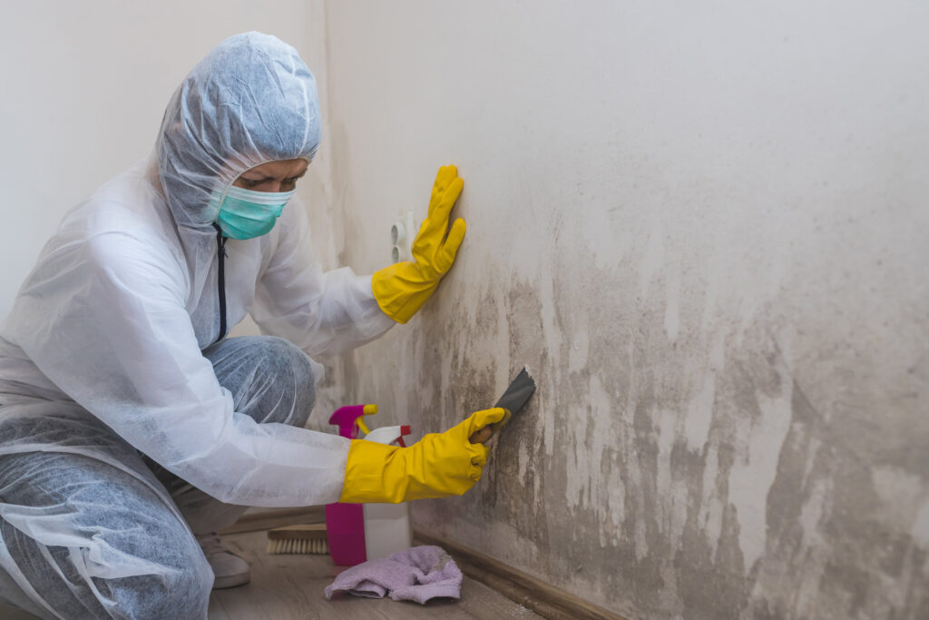 Female Worker Using Mold Removal Products and Tools to Clean Wall